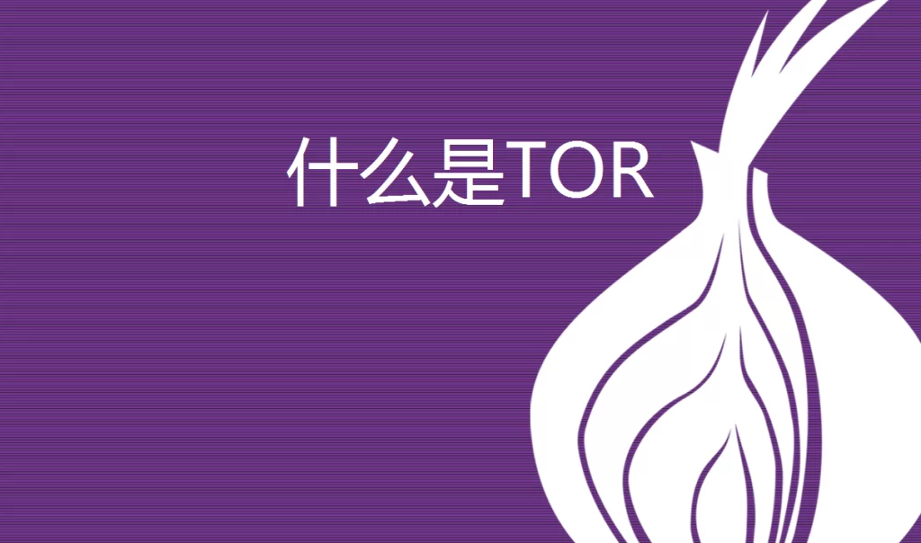 Tor 是什么？