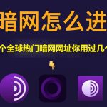 Tor 浏览器用什么搜索引擎？